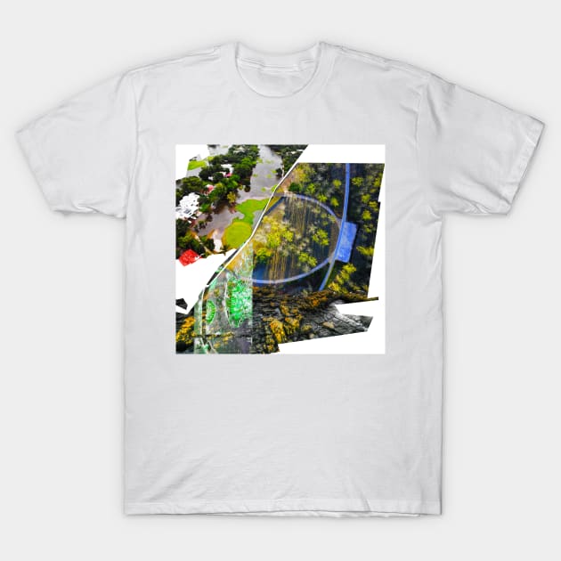 the comprehensive risk management in ecopop art photo landscape collage of wetlands T-Shirt by jorge_lebeau